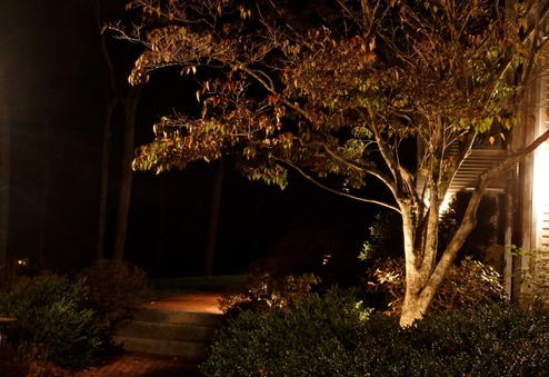 Heff Tree