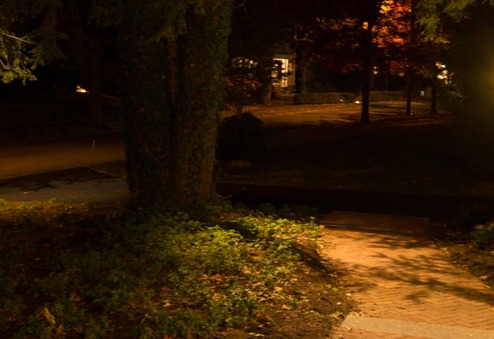 Website pathway